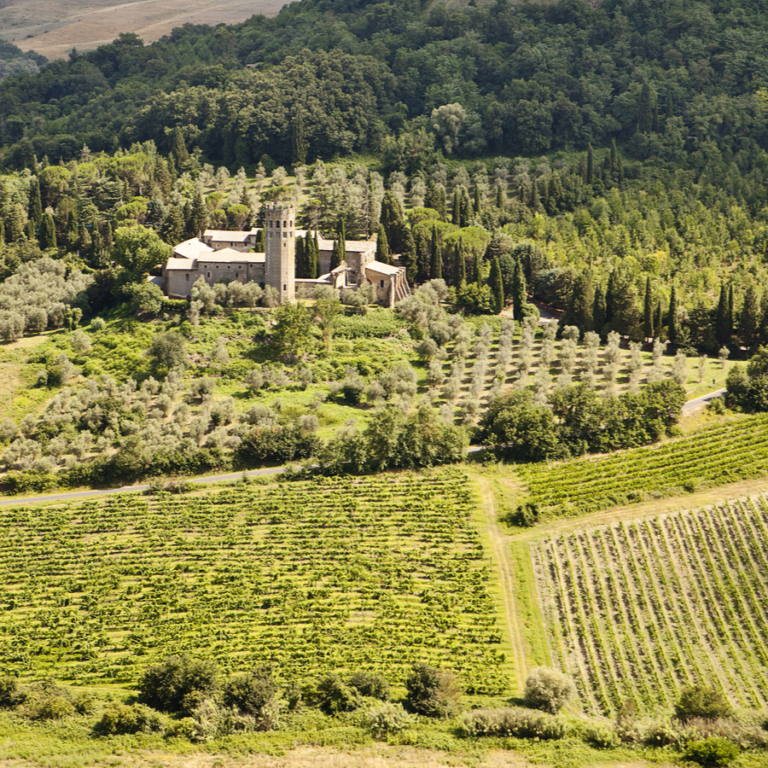 Wine Tours in Europe - Sunset Travel & Cruise